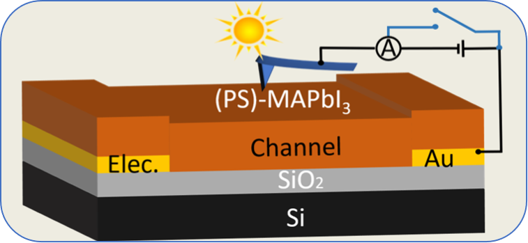 Ferroelectric origin of photoconductivity in MAPbI3