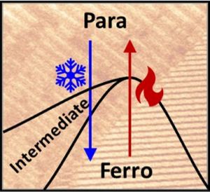 Asymmetry of the Ferroelectric Phase Transition in BaTiO3